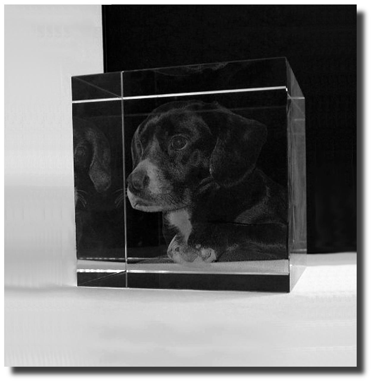 Glaspokale mit Gravur, Glastroph&auml;en, Glasawards, 3D Foto Glasgravur, Pokale:  3D-Glasw�rfel