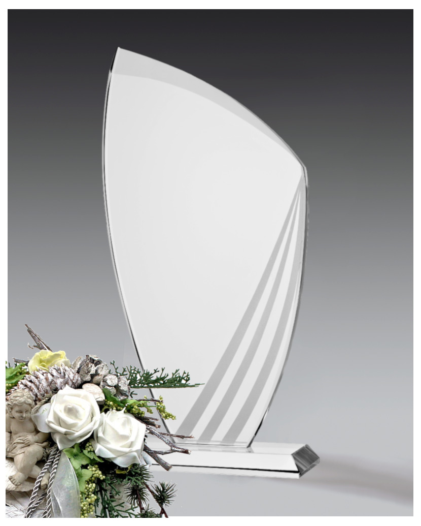 Glastroph�e Raptor