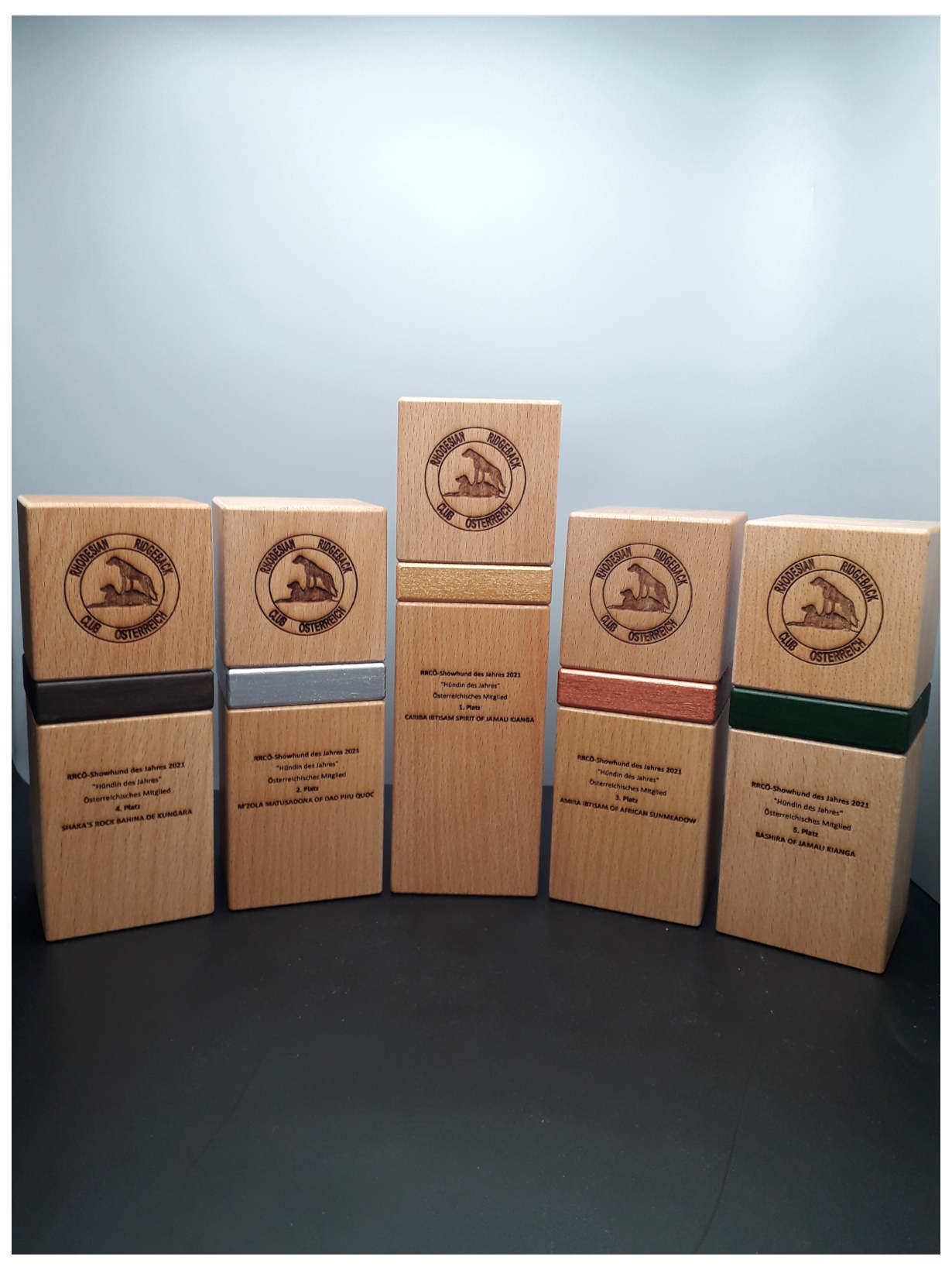 Holztrophäe Graphit Holztrophäe Graphit