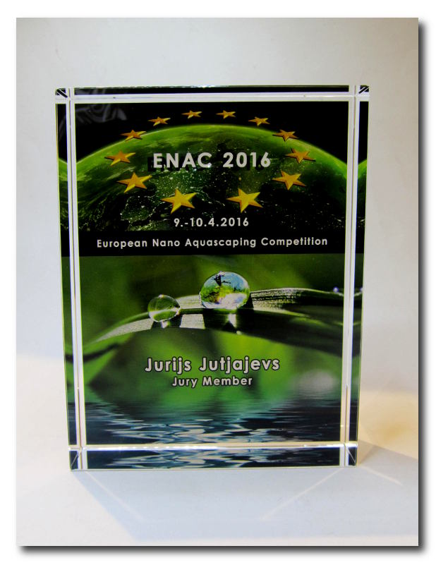 Glaspokale mit Gravur, Glastroph&auml;en, Glasawards, 3D Foto Glasgravur, Pokale:  Nano Aquascaping Competition