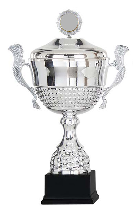 Glaspokale mit Gravur, Glastroph&auml;en, Glasawards, 3D Foto Glasgravur, Pokale:  Haag Henkelpokal