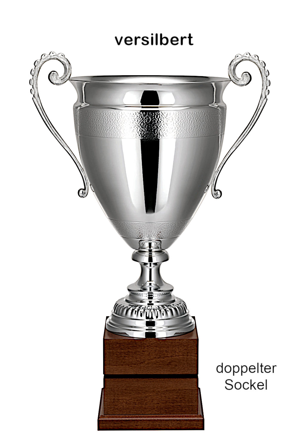 Glaspokale mit Gravur, Glastroph&auml;en, Glasawards, 3D Foto Glasgravur, Pokale:  Henkelpokal - Probus