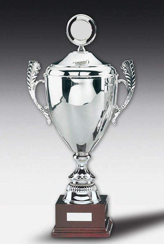 Glaspokale mit Gravur, Glastroph&auml;en, Glasawards, 3D Foto Glasgravur, Pokale:  Silver-star Henkelpokal