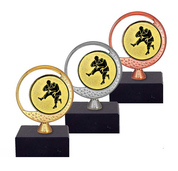 Glaspokale mit Gravur, Glastroph&auml;en, Glasawards, 3D Foto Glasgravur, Pokale:  Emblemhalter SP.13-Judo